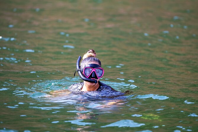 Sea Wonders Dolphin Watching and Snorkeling in Muscat - Setting out from Muscat at 10:00 am