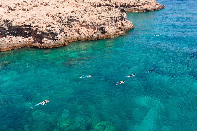 Snorkeling Adventure to Daymaniat Islands - November through April: time on the island beach