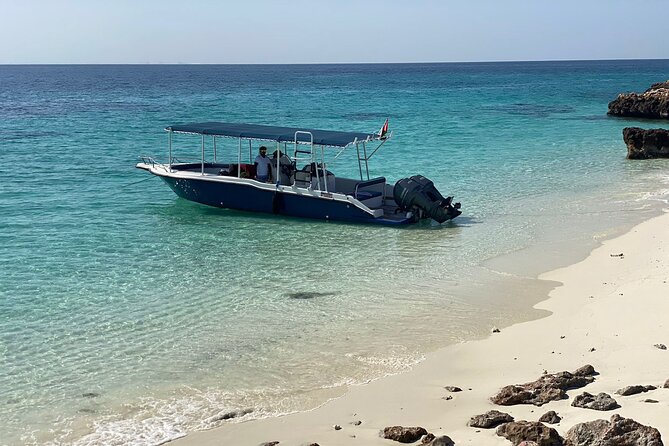 Snorkeling Adventure to Daymaniat Islands - May through October: wildlife protection comes first