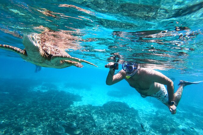 Snorkeling Adventure to Daymaniat Islands - Leaving Muscat at 7:55 a.m.