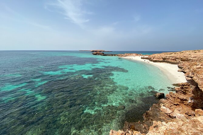 Snorkeling at Dimaniyat Islands and Dolphin Watching - Guides, safety, and the quality of the day