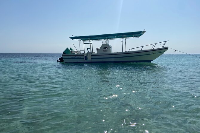 Snorkeling at Dimaniyat Islands and Dolphin Watching - Is $87 good value?