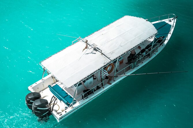 Snorkeling Experience at Ad Daymaniyat Islands in Muscat - Quick facts about this Muscat snorkeling trip