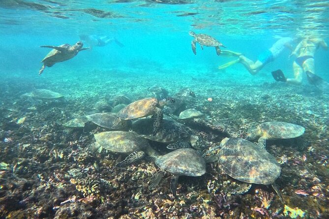 Snorkeling Experience at Ad Daymaniyat Islands in Muscat - What the water experience is really like