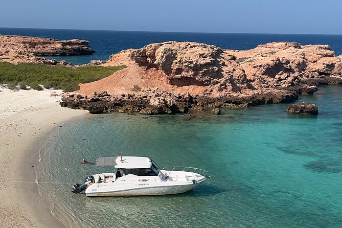 Snorkeling in Daymaniat Island - Leaving Al Mouj Marina at 9:00 a.m.