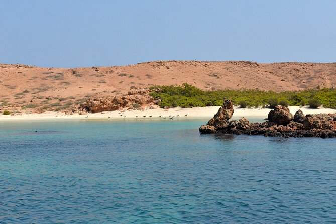 Snorkeling trips to Daymaniat Islands Sharing Trip - Key points to know before you book