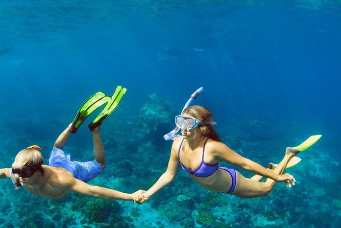 Snorkeling trips to Daymaniat Islands Sharing Trip - Why the Daymaniyat Islands are worth your morning