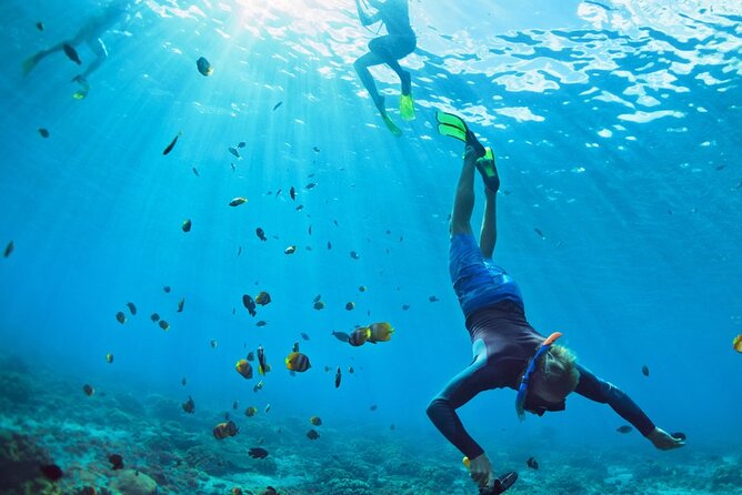 Snorkeling trips to Daymaniat Islands Sharing Trip - Snacks, shade, and the small comforts