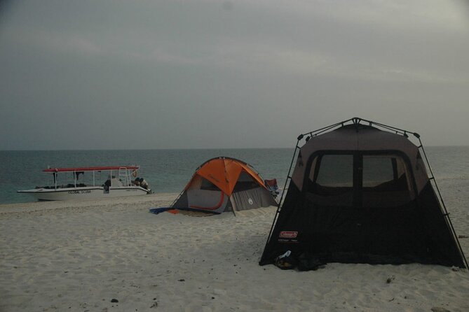 Snorkeling trips to Daymaniat Islands Sharing Trip - Is $75 a good value?