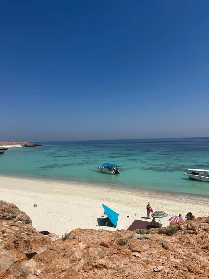 Snorkeling with turtles at Ad Daymaniyat Islands - Why the Ad Dimaniyat Islands make a good snorkeling trip