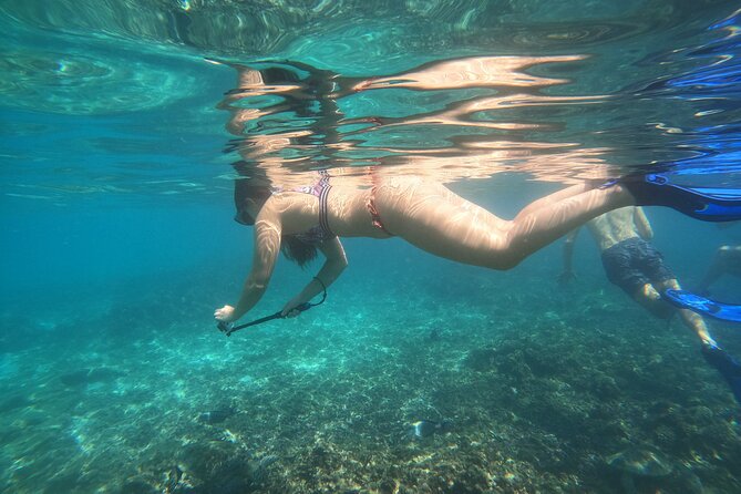 Snorkelling tours to Daymaniyat island - Key points to know before booking