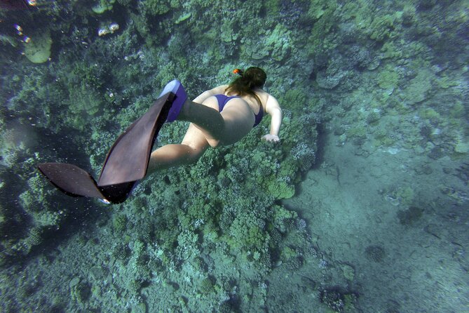 Snorkelling tours to Daymaniyat island - Finding the boat at Seeb Marina