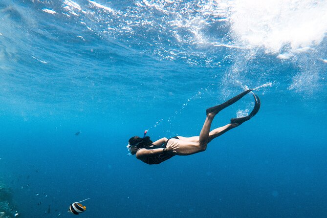 Snorkelling tours to Daymaniyat island - Is $85 a fair price?
