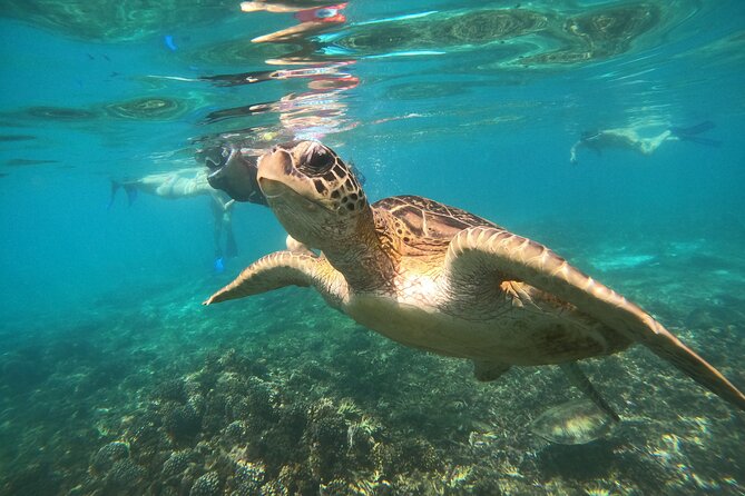 Snorkelling tours to Daymaniyat island - The boat ride and onboard comfort