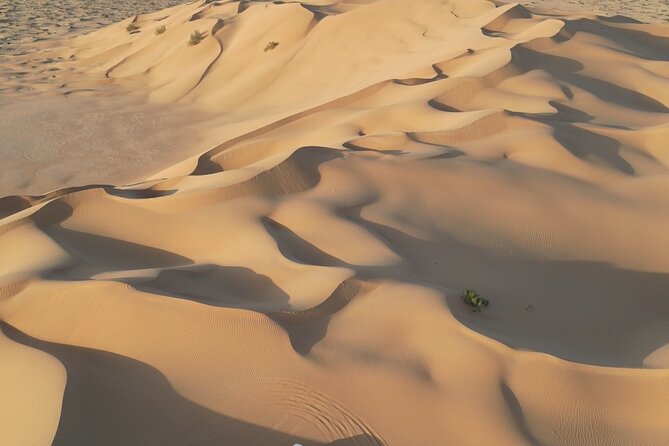 Sunset desert safari Salalah with Dinner in a Bedouins camp - The Empty Quarter at Sunset