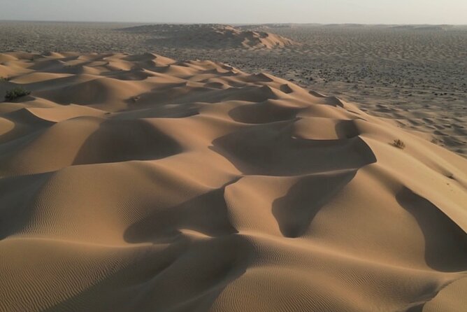 Sunset desert safari Salalah with Dinner in a Bedouins camp - Dinner at a Bedouin Camp