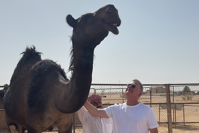 Sunset desert safari Salalah with Dinner in a Bedouins camp - Who Should Book This Salalah Tour?