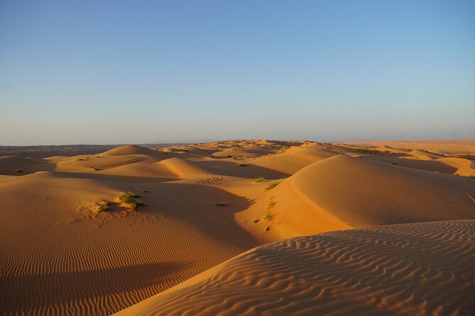 Sunset in Wahiba Sands 4x4 Adventure - A compact sunset trip into Wahiba Sands