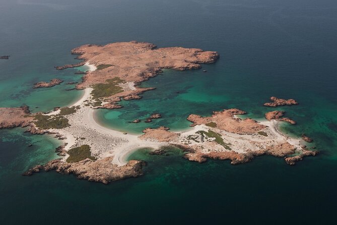 The Jewel of Muscat Sea, Daymaniyat Islands - Snorkeling over coral and fish