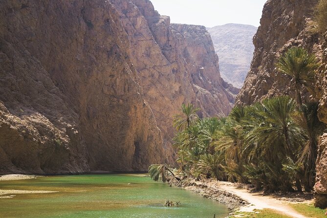 The Oman Essentials Tour with Fully Live Guided Tour - 5 Days / 4 Nights - The guide, group size, and daily comfort