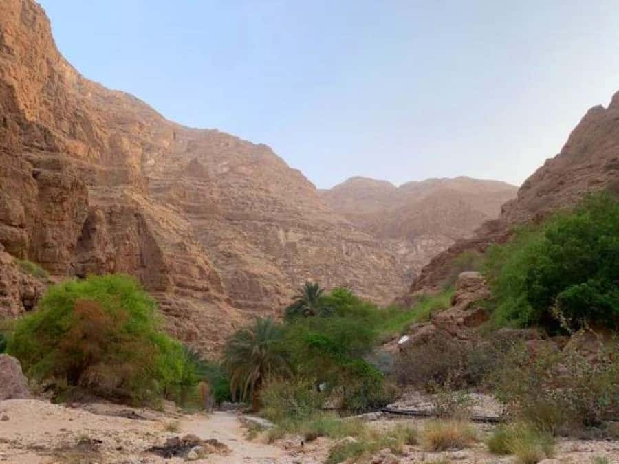 Tour Fatimah-2 Day 1 Night in Ras Al Hadd,Oman Tours Package - Wadi Shab means walking before swimming