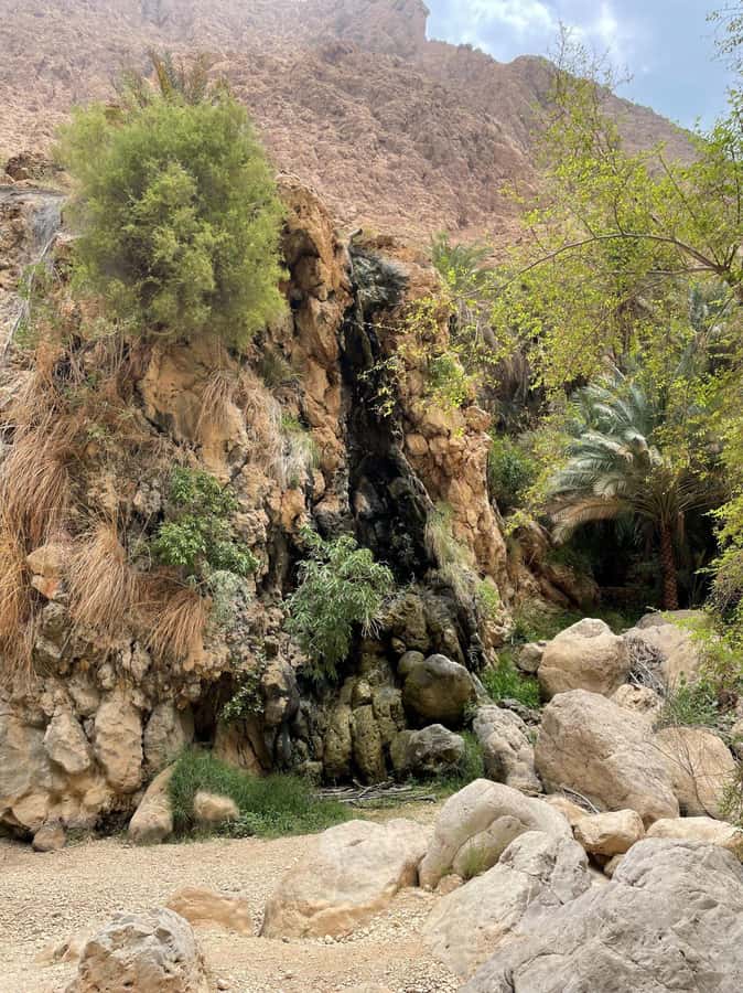 Tour Fatimah-2 Day 1 Night in Ras Al Hadd,Oman Tours Package - Sur brings boats, doors, and a slower cultural stop