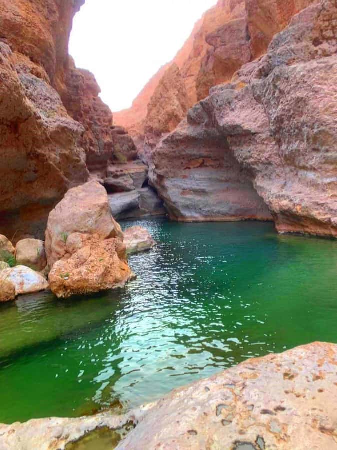 Tour Fatimah-2 Day 1 Night in Ras Al Hadd,Oman Tours Package - Wahiba Sands closes the trip with gold and open space