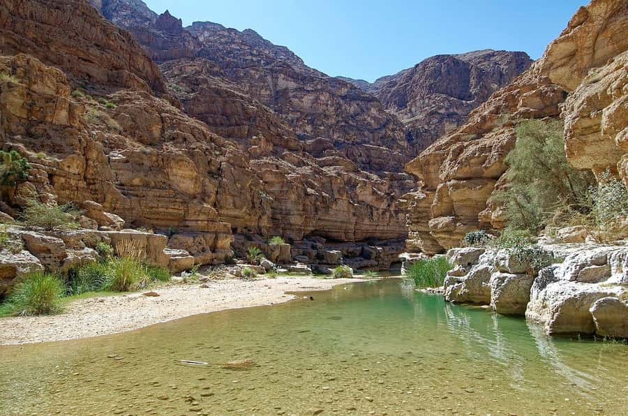 Tour Fatimah-2 Day 1 Night in Ras Al Hadd,Oman Tours Package - Pickup, comfort, and the physical demands