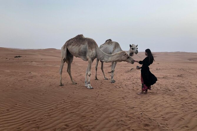Tour Jawahir 2 Days-1 Night In Wahiba Sands, Oman Tours Package - At a glance: what makes this Omani tour different