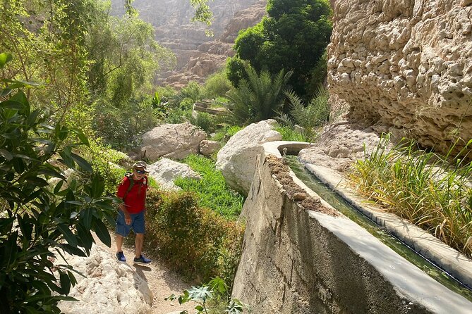 Visit wadishab full day from Musact - Who should book this private Oman day trip?