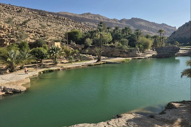 Wadi Bani Khalid and Wahiba Sands Desert with Sunset Watching - Choosing the camel ride or dune bashing