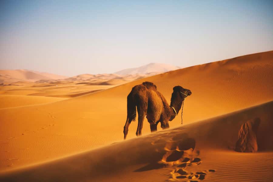 Wadi Bani Khalid - Wahiba Sands Desert - Sunset - Wadi Bani Khalid: 75 minutes beside clear pools
