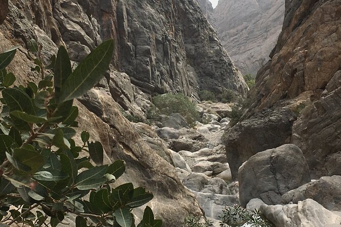 Wadi Shab and Bimmah Sinkhole Full Day Tour - Lunch with chicken, fish, rice, and lemon mint