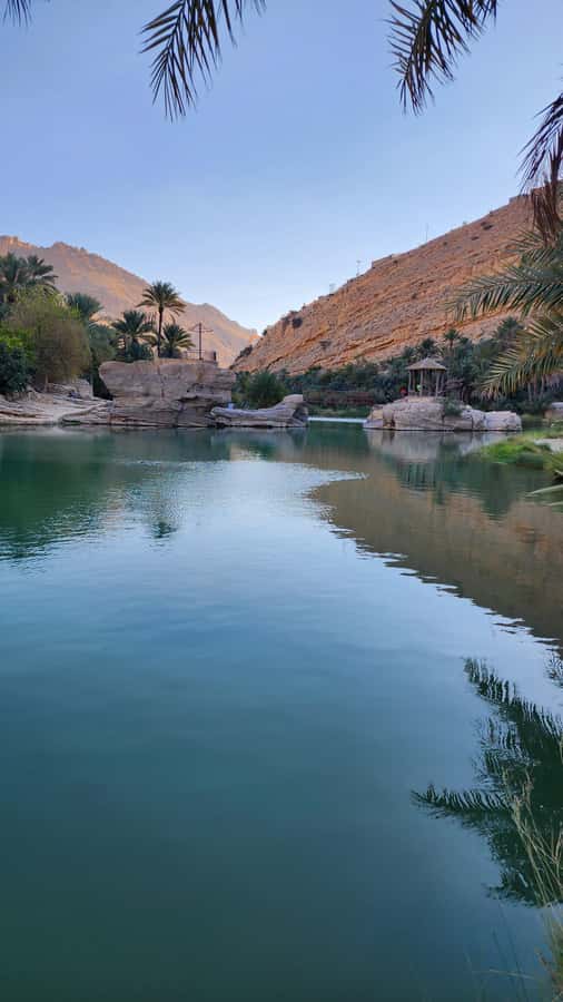 Wadi Shab, Desert safari and The historical city of Nizwa - Day 1: From Muscat to Wadi Shab