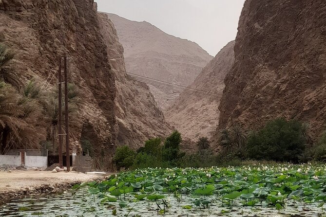 Wadi Shab Expedition - From Muscat to the coast