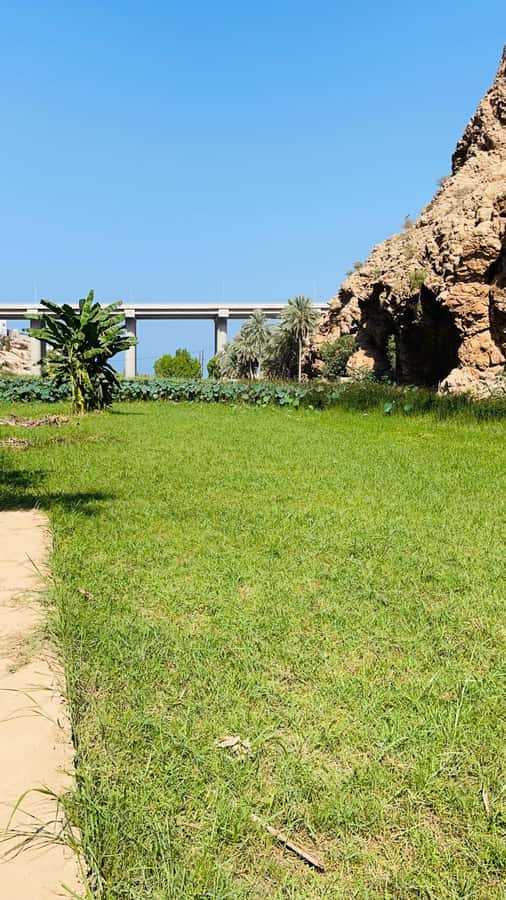 Wadi Shab Parking Meet the Local Guide for Self drivers - Wadi Shab at a glance