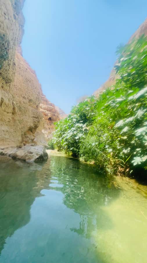 Wadi Shab Parking Meet the Local Guide for Self drivers - The 45-minute hike through the canyon