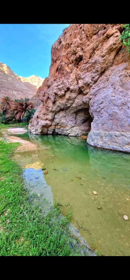 Wadi Shab tour - What the $350 Group Price Really Buys