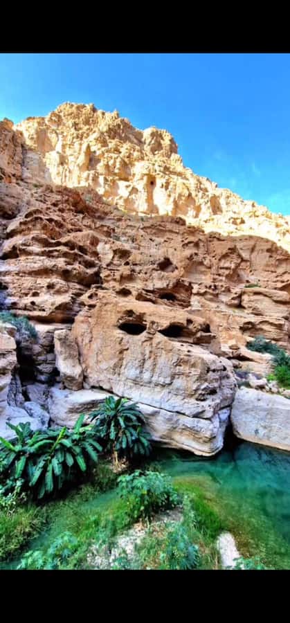 Wadi Shab tour - The Guide and Small-Group Feel