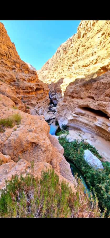 Wadi Shab tour - Who Will Enjoy This Tour Most