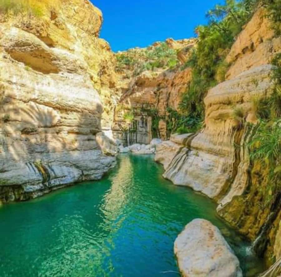 Wahiba Desert Safari Adventure , Swimm in Wadi Bani Khalid - Key points to know before booking