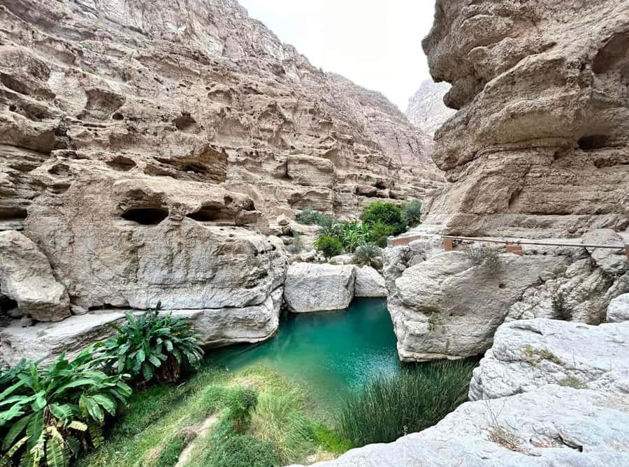 Wahiba Desert Safari Adventure , Swimm in Wadi Bani Khalid - Who should book this Oman desert tour?