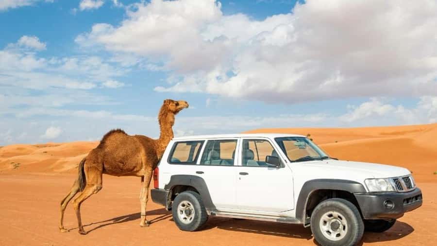 Wahiba Sand and Wadi Bani Khalid Guided Group Tour - Why this Oman day trip works