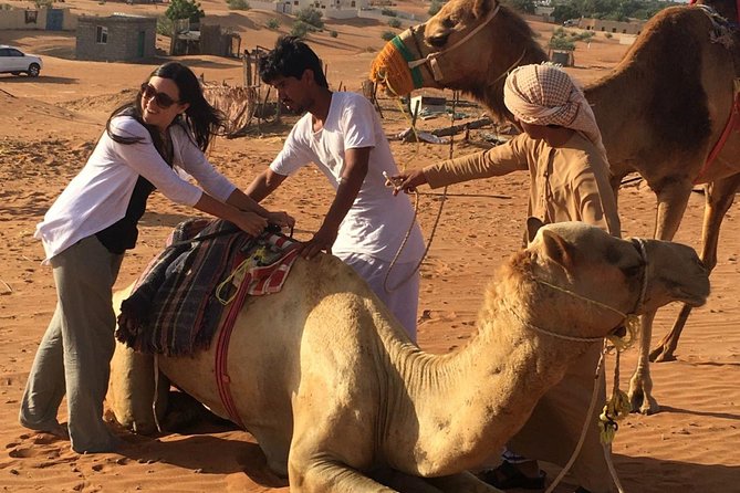 Wahiba Sands and Desert Safari from Muscat - Why this Muscat day trip works so well