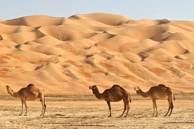 Wahiba Sands and Desert Safari from Muscat - Food, clothing, and useful preparation