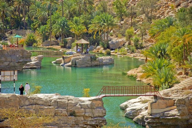 Wahiba Sands and Desert Safari from Muscat - Wahiba Sands and the art of dune driving