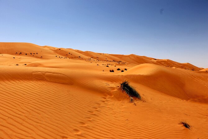 Wahiba Sands and Wadi Bani Khalid Day Tour - A picnic lunch keeps the schedule moving