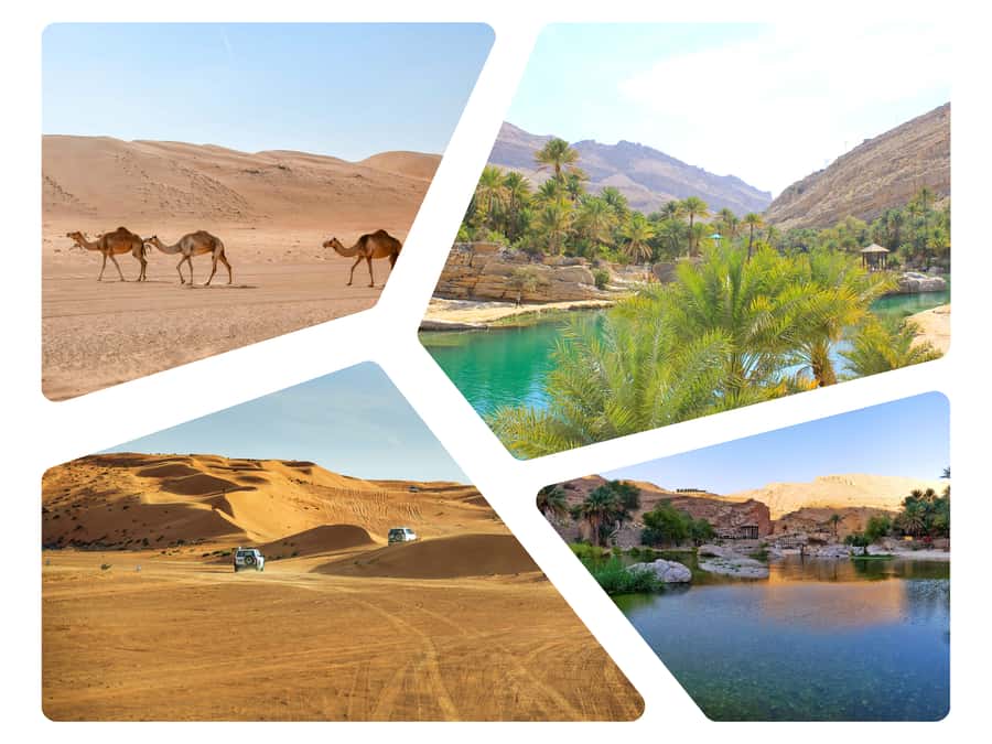 Wahiba Sands and Wadi Bani Khalid Full-Day Tour from Muscat - Key points to know before booking