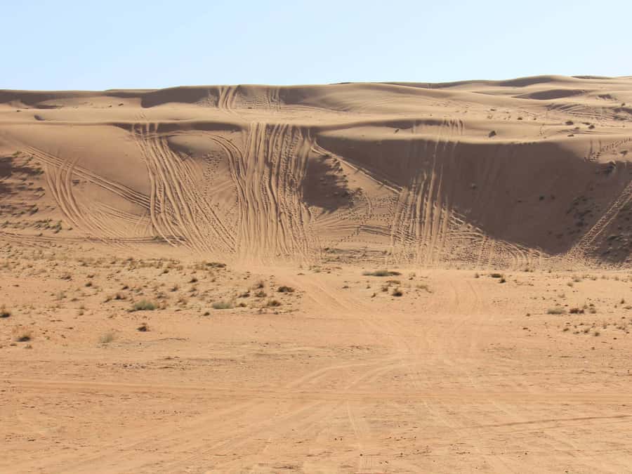 Wahiba Sands and Wadi Bani Khalid Full-Day Tour from Muscat - Should you book the Wahiba Sands and Wadi Bani Khalid tour?