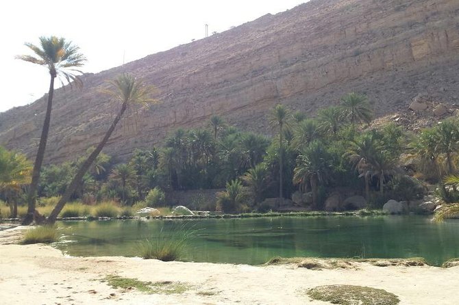 Wahiba Sands Desert Safari 4X4 - Private touring and the pace of the day